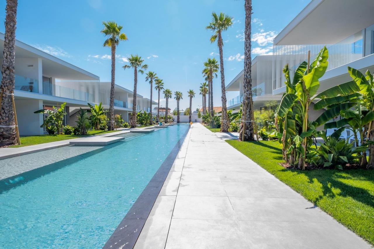 Palms Edition *